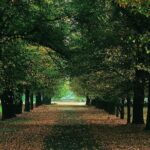 "Premium Wine Tour" Viña Cousiño Macul Official english - Authenticity and Cultural Connection