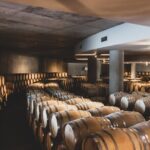 Prestigious wineries of Uco - Private luxury tour - Who Will Love This Tour?