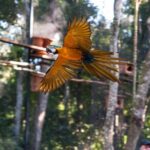 Private 3-Day Iguazu Falls Tour - FAQ