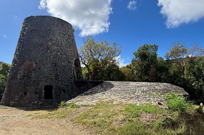 Private 4WD Tour to Trunk Bay St John - Why This Tour Offers Good Value