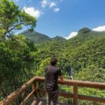 Private 6-hour Hiking Tour in the Tijuca Forest: Waterfalls, Viewpoints & Picnic - A Deep Dive Into the Tijuca Forest Experience