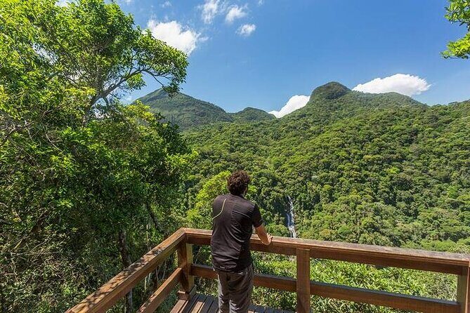 Private 6-hour Hiking Tour in the Tijuca Forest: Waterfalls, Viewpoints & Picnic - A Deep Dive Into the Tijuca Forest Experience