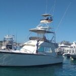 Private 8 Hour (Full Day) Fishing Charter in Nassau - Who Should Consider This Tour?