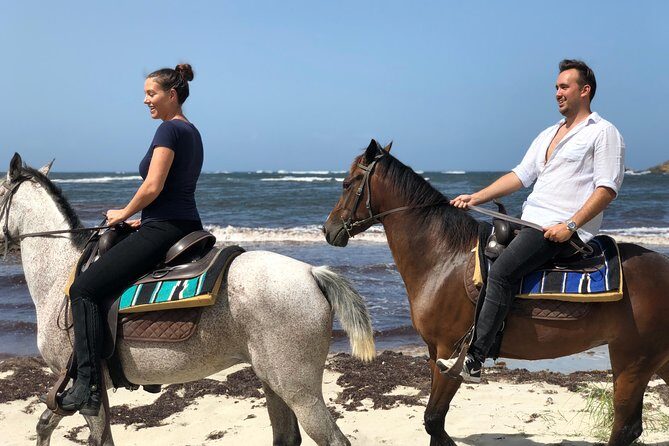 Private Advanced Horseback Beach Ride with Sandy Hoofs St. Lucia - Why This Tour Offers Great Value