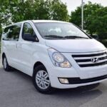 Private Airport Transfer from Punta Cana & Bavaro - The Full Experience: What You Can Really Expect