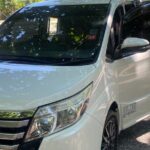 Private Airport Transfer to all resorts in Falmouth, Trelawny - The Experience: What to Expect From Your Private Transfer