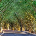 Private Airport Transfer to Salvador  Sedan for Up to 3 People - The Experience from the Traveler’s Perspective