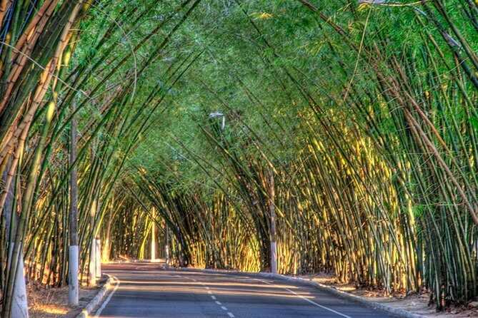 Private Airport Transfer to Salvador  Sedan for Up to 3 People - The Experience from the Traveler’s Perspective