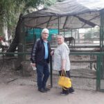 Private airport transfers. And airport searches - Final Thoughts: Is It Right for You?