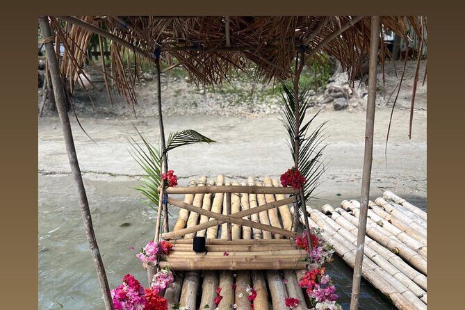 Private Airport Transfers and Excursion Transportation - Why This Service is Worth Considering