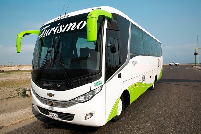 Private Airport Transfers in air conditioning buses - The Sum Up