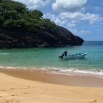 Private Airport Transportation in Bavaro Punta Cana - Breaking Down the Experience