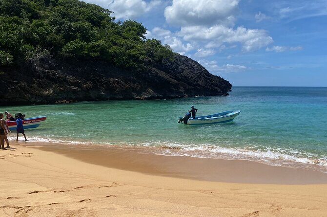 Private Airport Transportation in Bavaro Punta Cana - Breaking Down the Experience