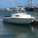 Private All Inclusive Speedboat to Soufriere with Lunch, Mud Bath & Waterfall - An In-Depth Look at the Tour Experience