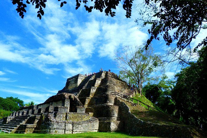 Private Altun Ha Maya Ruin & Howler Monkey Adventure From Belize City - The Practicalities: Logistics, Food, and Personal Experience