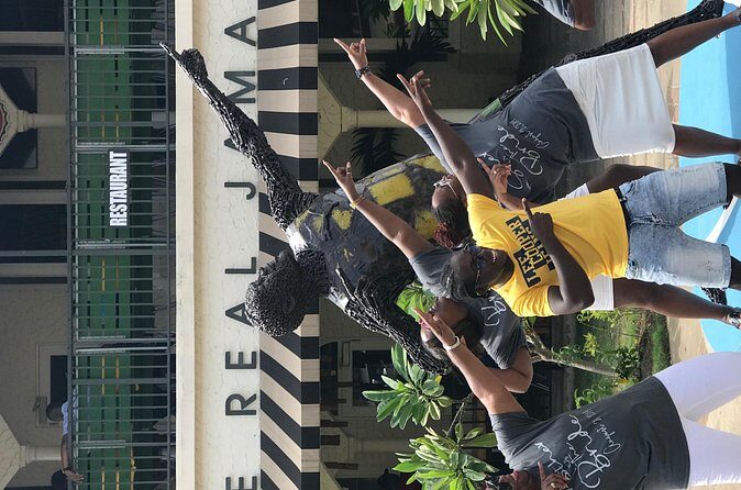 Private and customizable Ocho Rios day tour - Who Should Consider This Tour?