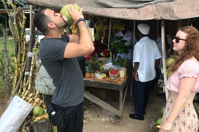 Private and Customize Highlight Tour to Montego Bay from Falmouth - Key Points