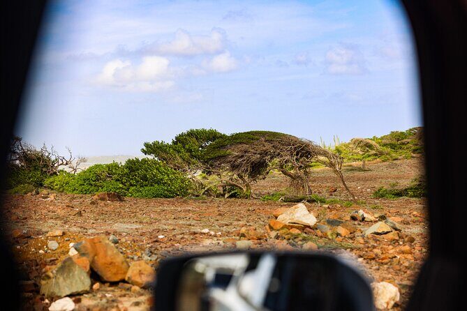 Private and Customized Aruba 4X4 Jeep Adventure - Is This Tour Worth It?