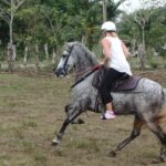 Private and Customized Horseback Riding Adventures - Who It’s Best For