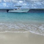 Private and Luxury 2 Stop Snorkel in Bonaire National Marine Park - Practical Considerations