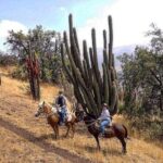 Private Andes Horse Riding with Cheese and Wine. Near Santiago - What Travelers Say