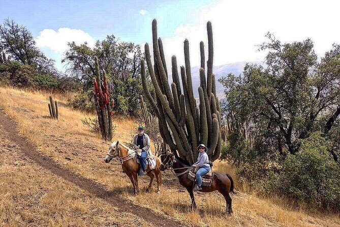 Private Andes Horse Riding with Cheese and Wine. Near Santiago - What Travelers Say
