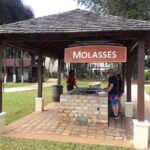 Private Appleton Estate Rum and Pelican Bar Tour from Montego Bay - Is This Tour Right for You?