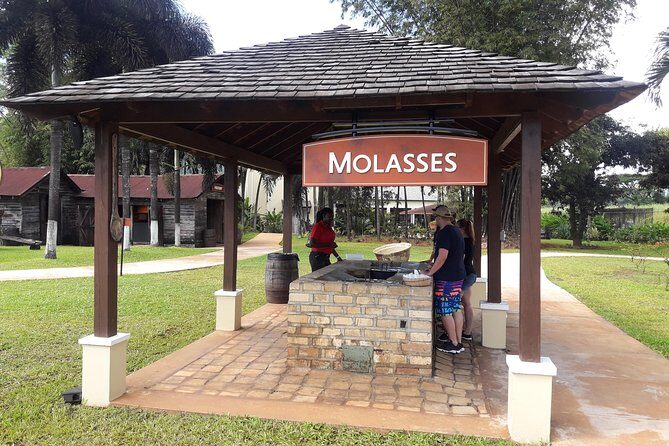 Private Appleton Estate Rum and Pelican Bar Tour from Montego Bay - Is This Tour Right for You?