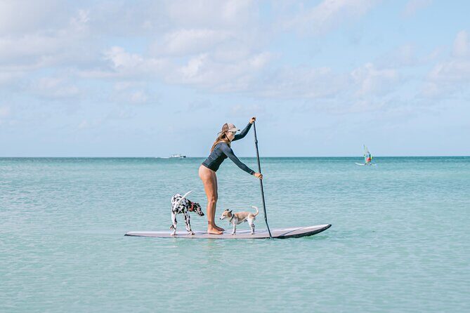 Private Aruba Stand Up Paddleboard Experience - An In-Depth Look at the Aruba Paddleboard Tour