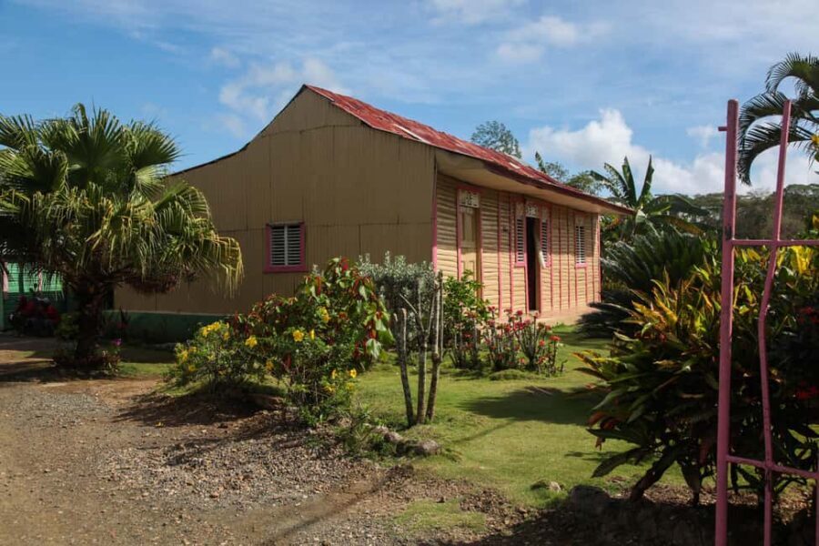 Private: Authentic Punta Cana Cultural Immersion Market Trip - Who Would Love This Tour?