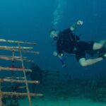 Private Bayahibe 3 Tank Diving with Lunch from Punta Cana - Why This Tour Stands Out