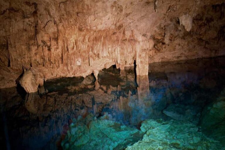 Private: Bayahibe: Jungle Walk and Cenote Snorkeling Tour - Final Thoughts: Is This Tour Worth It?