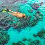 Private Bayahibe: Snorkeling Tour with Lunch and Cenote Swim - An In-Depth Look at the Bayahibe Snorkeling Tour