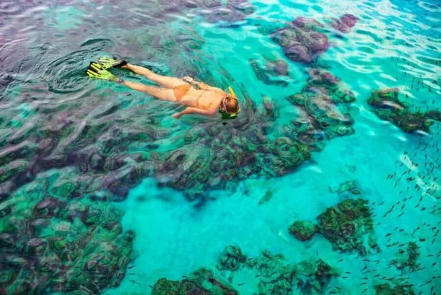 Private Bayahibe: Snorkeling Tour with Lunch and Cenote Swim - An In-Depth Look at the Bayahibe Snorkeling Tour