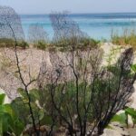 Private Beach Hike Sunrise Serenity - What Makes This Hike Special