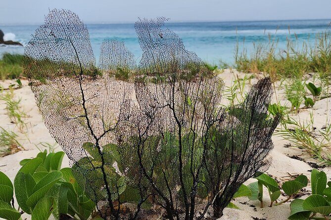 Private Beach Hike Sunrise Serenity - What Makes This Hike Special