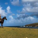 Private Beach Horseback Ride with Sandy Hoofs St. Lucia - A Detailed Look at the Sandy Hoofs Horseback Experience