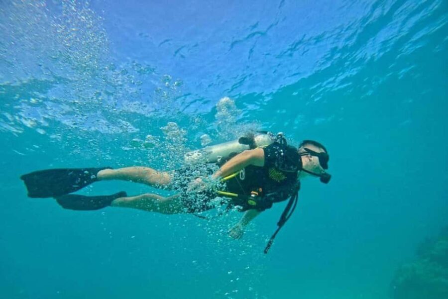 Private: Beginner Scuba Dive in Bávaro: 30-Minute Reef Dive - The Value of This Experience