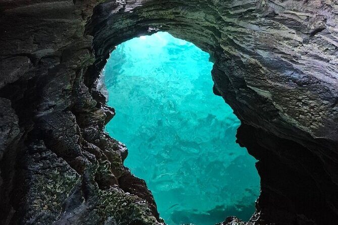 Private Bermuda Historic Sightseeing Cruise With Swim Stops - Why This Tour Offers Great Value