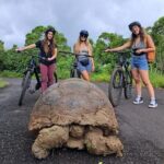 Private BiciTour Giant Tortoises and Lava Tunnel in Galapagos - The Sum Up: Why This Tour Delivers Authentic Galápagos Moments