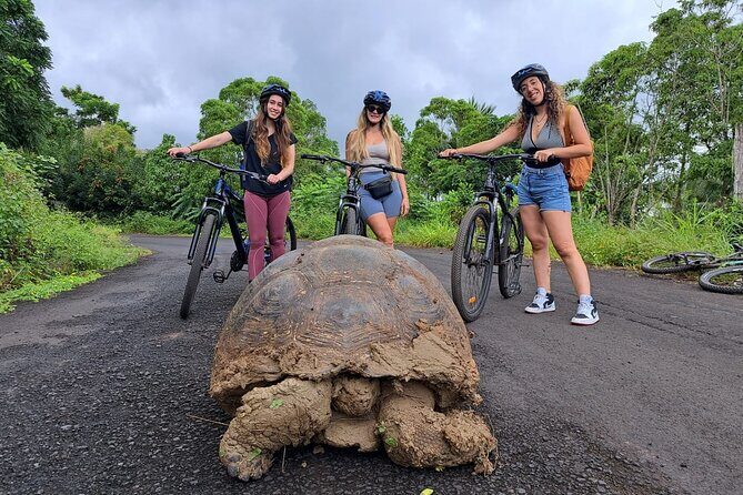 Private BiciTour Giant Tortoises and Lava Tunnel in Galapagos - The Sum Up: Why This Tour Delivers Authentic Galápagos Moments