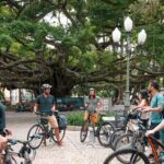 Private Bike Tour in Florianopolis - Practical Details: What You Need to Know