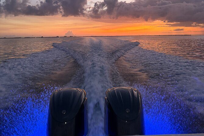 Private Bioluminescence Tour in Grand Cayman - Why This Tour is a Great Value