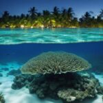 Private Bioluminescent Bay Tour - Pricing and Value