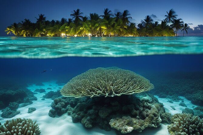 Private Bioluminescent Bay Tour - Pricing and Value