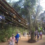 Private Bird Park Tour: Encounter Vibrant Birds Up Close - The Sum Up