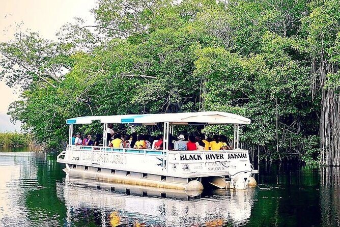Private Black River Safari Tour from Montego Bay Resorts - FAQ