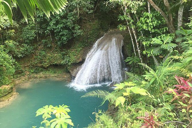 Private Blue Hole Tour from Montego Bay - The Experience’s Strengths: Why Travelers Rave