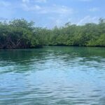 Private Blue Veins and White Beach Tour - What Makes This Tour Stand Out?