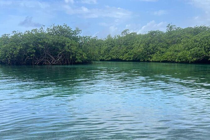 Private Blue Veins and White Beach Tour - What Makes This Tour Stand Out?